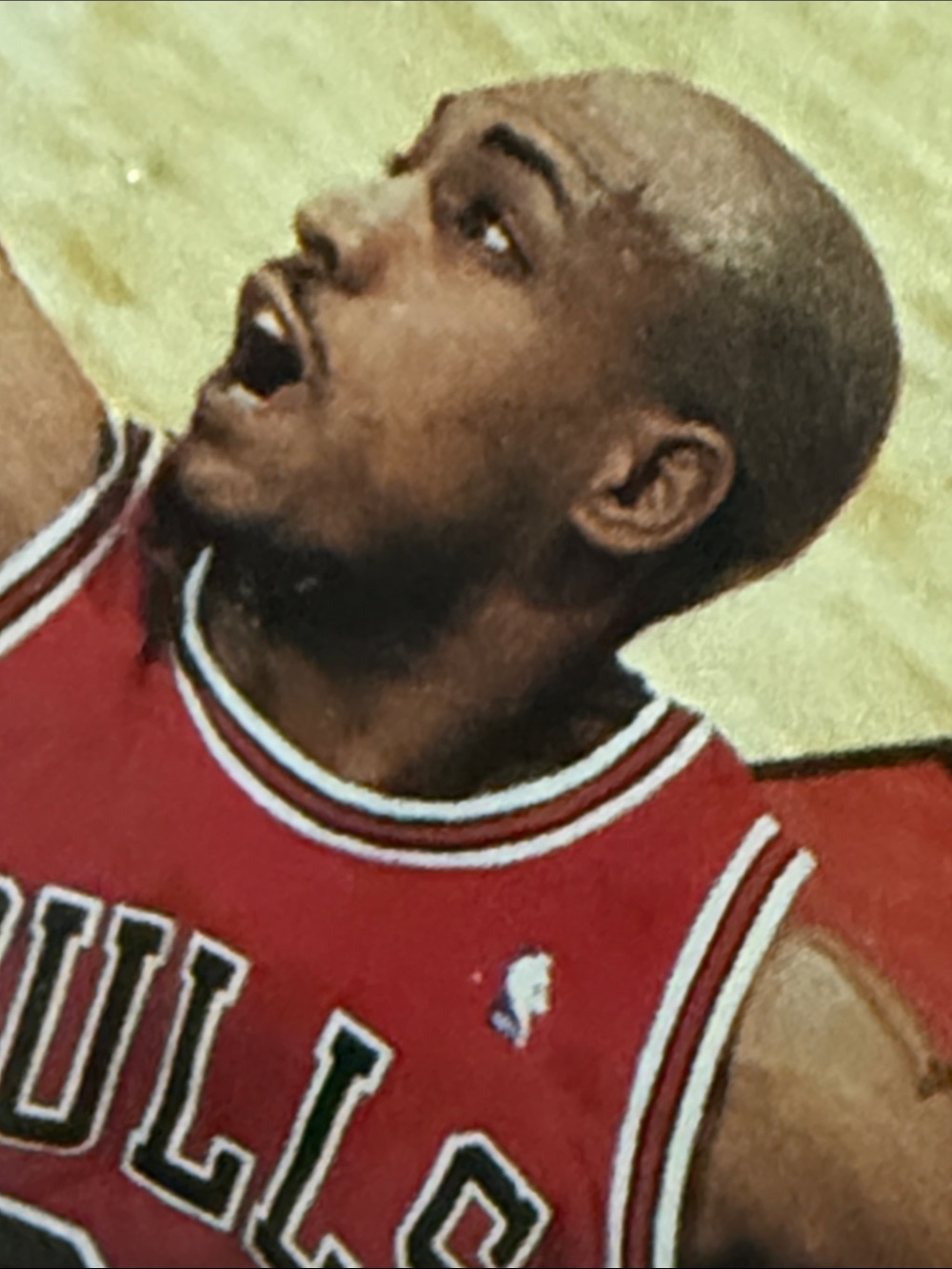 💚Marcus  Fizer Chicago Bulls
Basketball Trading Card -